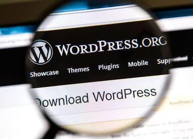 Image of WordPress Software